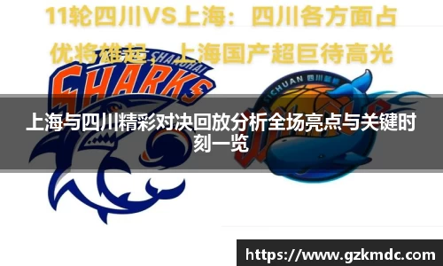 上海与四川精彩对决回放分析全场亮点与关键时刻一览